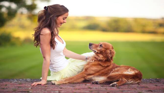 Spend Time With Your Golden Retriever