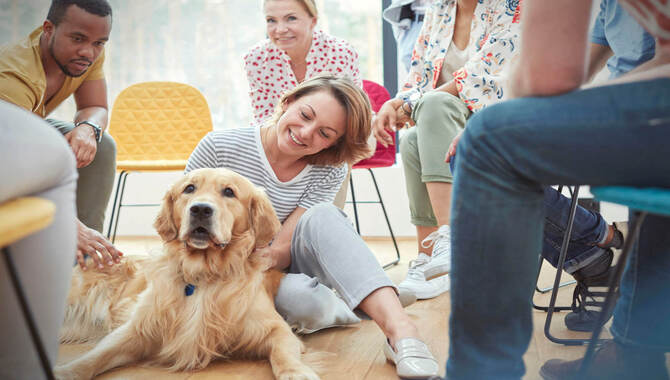 The Socialization Requirements Of A Golden Retriever
