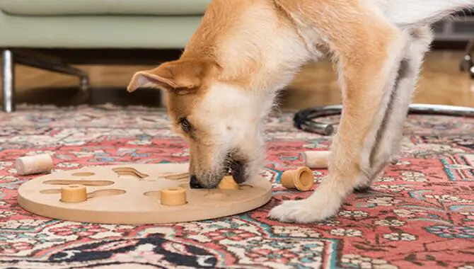 Treat Under The Cup Puzzle Game