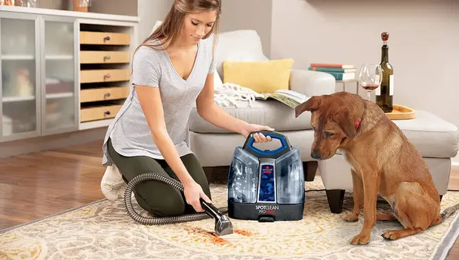 Types Of Cleaners That Can Use To Get Dog Poop Out Of Carpet