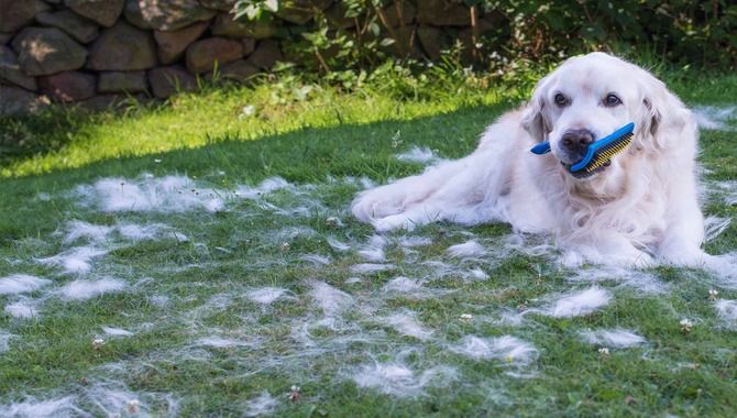 Undercoats And Grooming