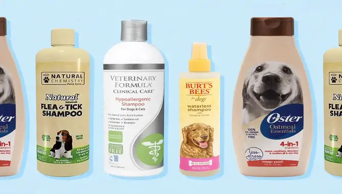 Use A Quality Dog Shampoo