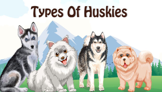 What Are The Different Types Of Huskies