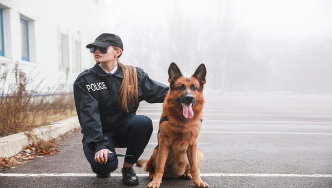 What Makes A Good Police Dog?