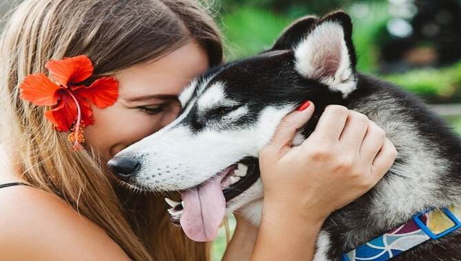 Your Husky Is Communicating Love