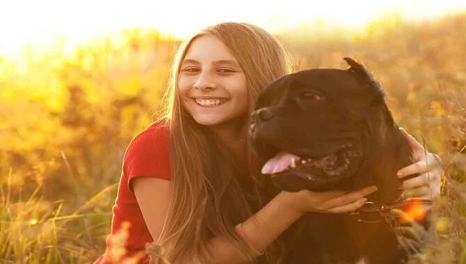 10 Facts About Are Cane Corsos Friendly