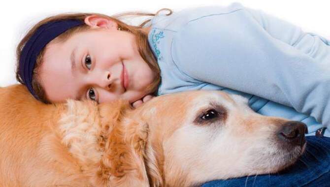 5 Reasons Golden Retrievers Really Like To Cuddle