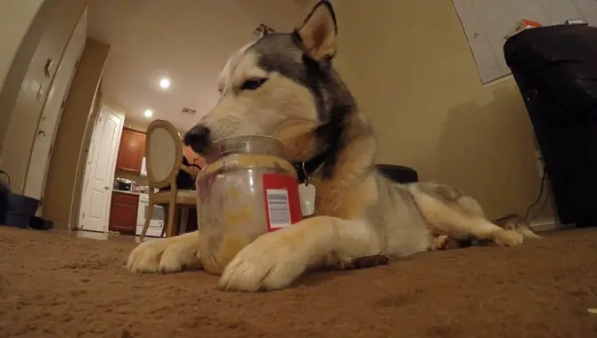 Can Huskies Eat Peanut Butter In Details Guide