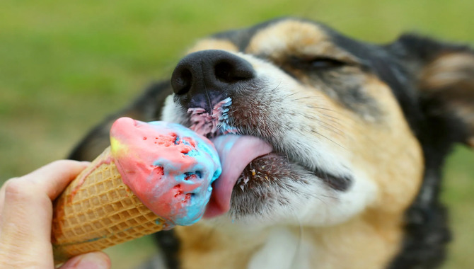 Can Your Dog Eat Ice Cream Cones?