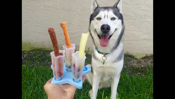 Chicken Broth Popsicle.