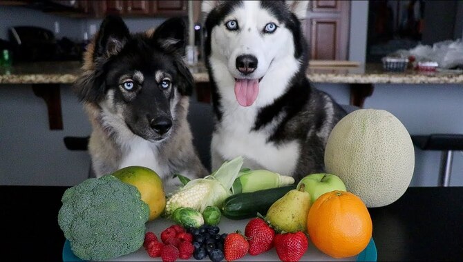 Enlightenment On What Fruit Huskies Can Eat