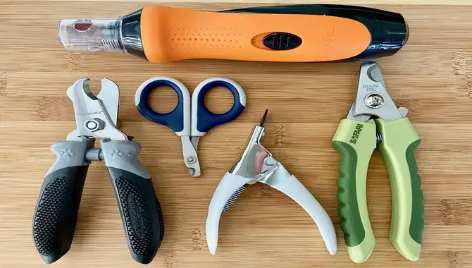 Essential Tools For Trimming Husky Nails