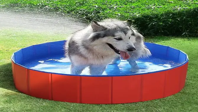 Get A Paddling Pool husky