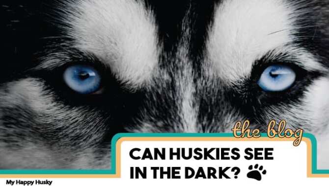 How Can Clear My Husky See
