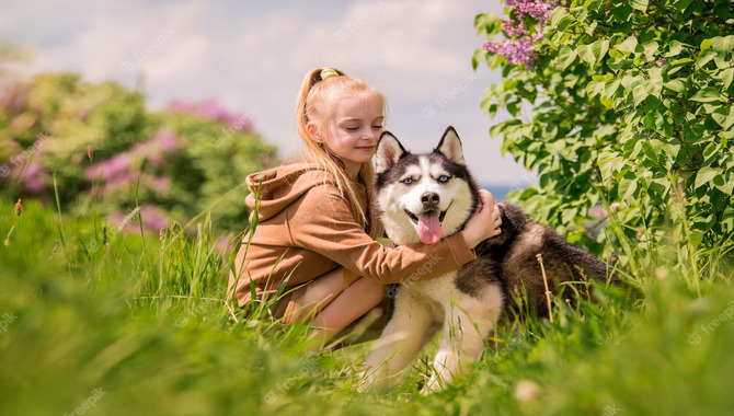 How Do Huskies Like To Cuddle And Snuggle - Thing To Know 