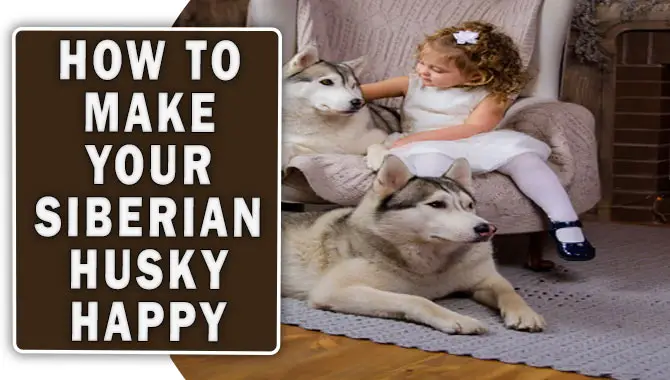 How To Make Your Siberian Husky Happy