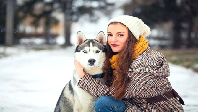 Huskies Cuddle Only When They Want To 