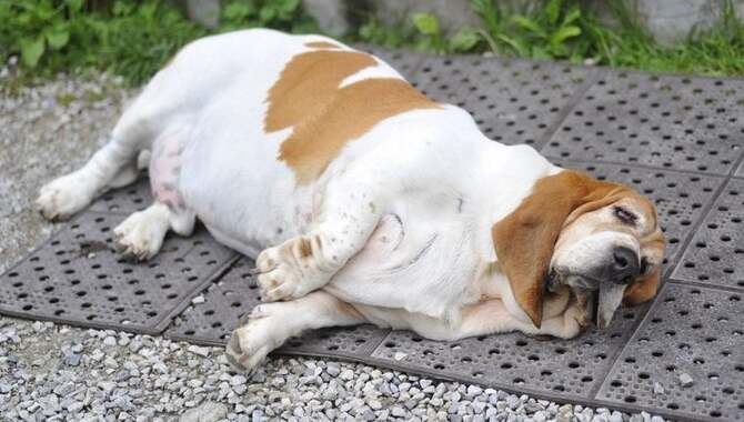 Hypothyroidism