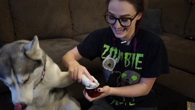 Tips To Trim Your Husky's Nails