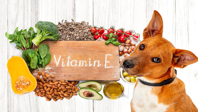 Vitamin E For Cardiovascular Health