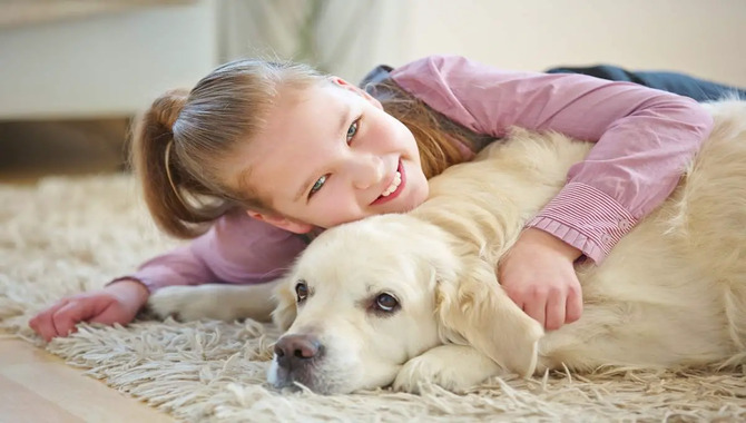 Ways Golden Retrievers Cuddle And Show Affection