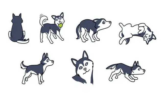 What Does Your Husky's Body Language Mean
