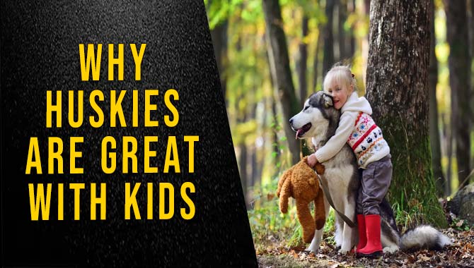 Why Huskies Are Great With Kids