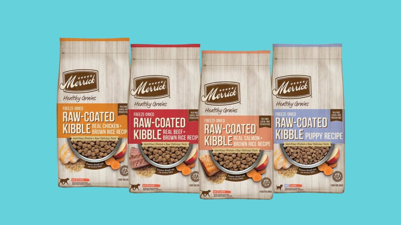 Merrick Dog Food Caused Diarrhea Expert Insights & Solution