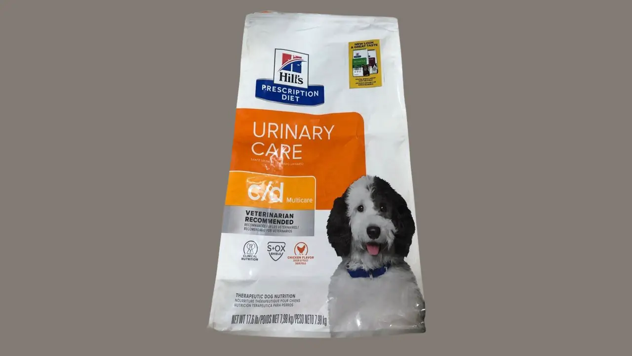 Best 6 Royal Canin Urinary So Alternatives Dog Food