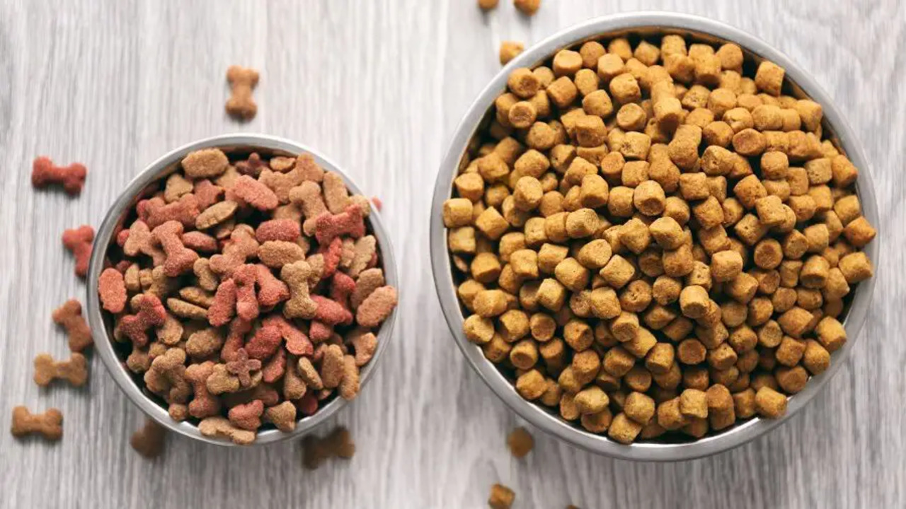 Buying Guide For Royal Canin Urinary So Dog Food Alternatives