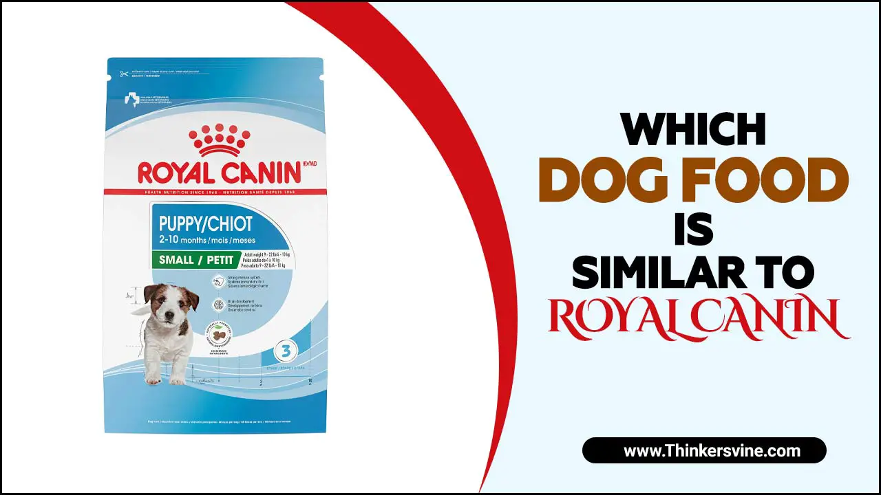 Dog Food Is Similar To Royal Canin