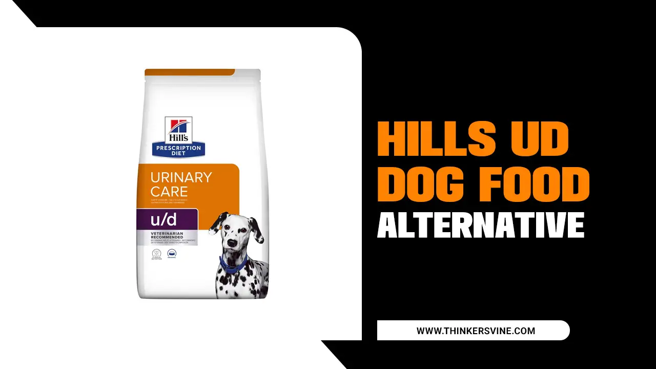 Hills UD Dog Food Alternative