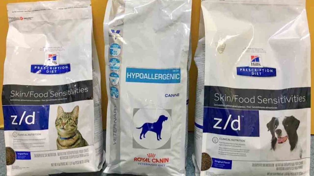 Hill's ZD Dog Food Side Effects Food Routine & Precautions