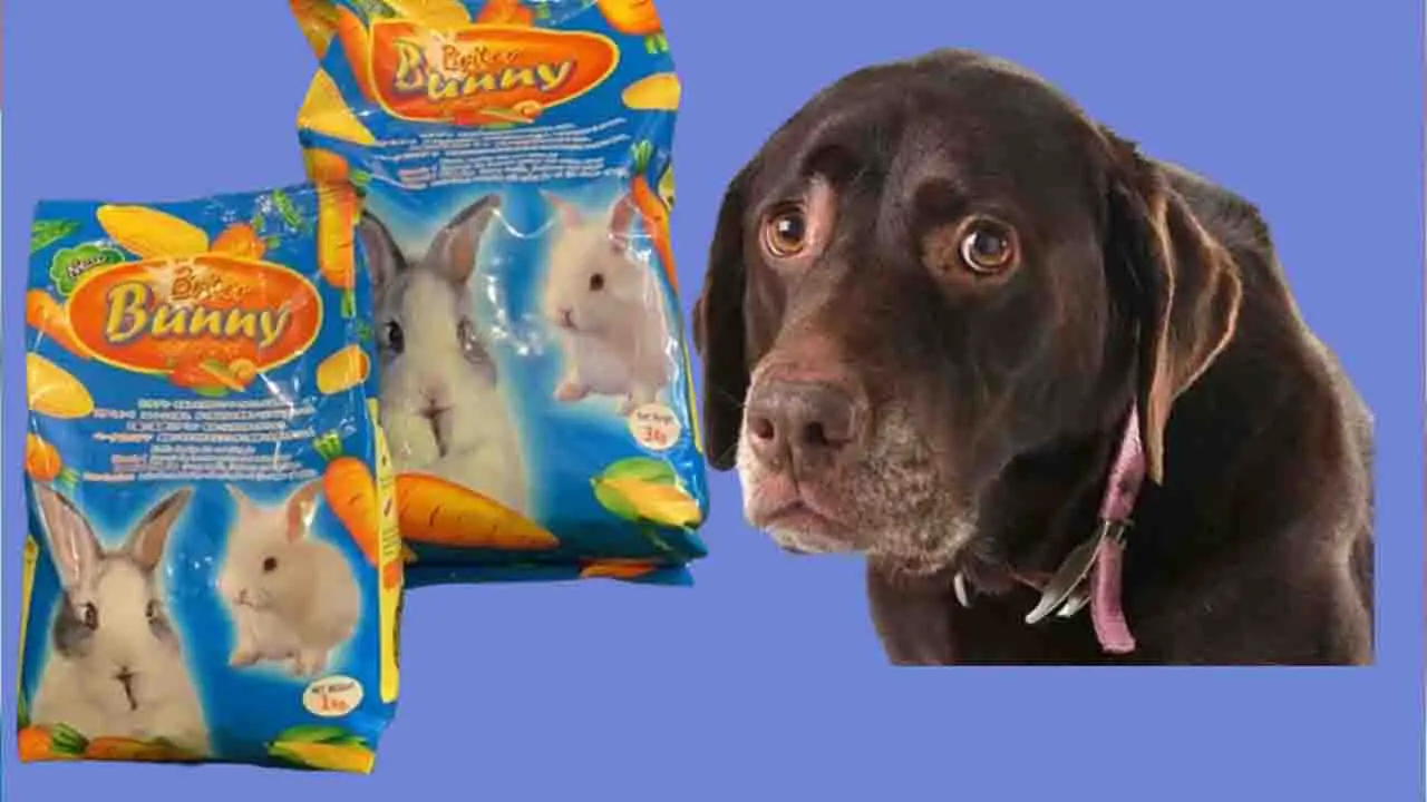 Is Rabbit Food Safe For Dogs
