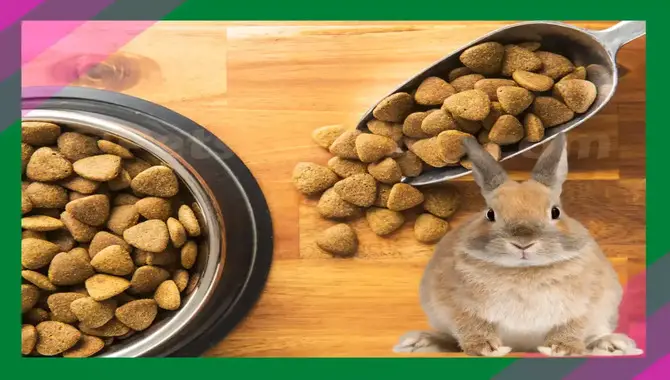 Is Rabbit Food Safe For Dogs