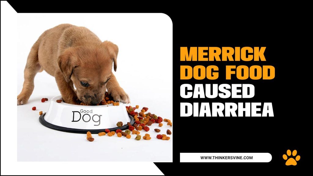 Merrick Dog Food Caused Diarrhea Expert Insights & Solution