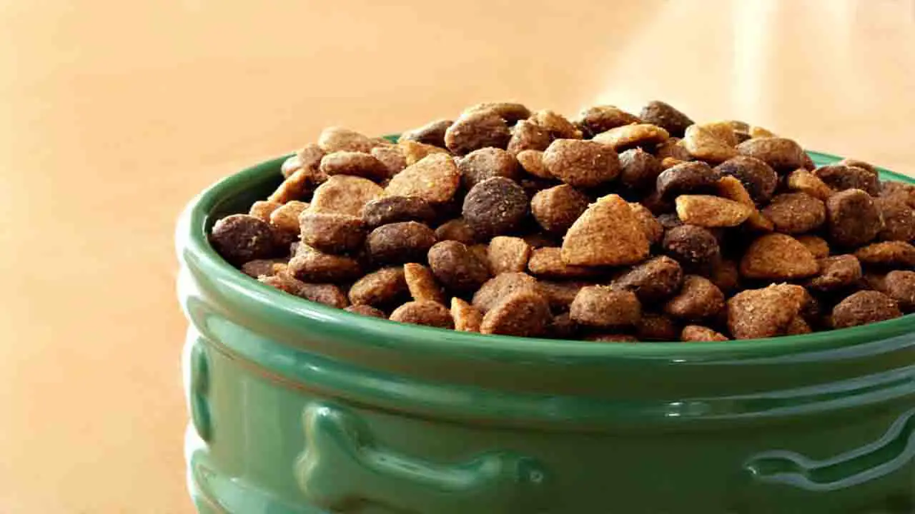 Merrick Dog Food Caused Diarrhea – 9 Probable Reasons