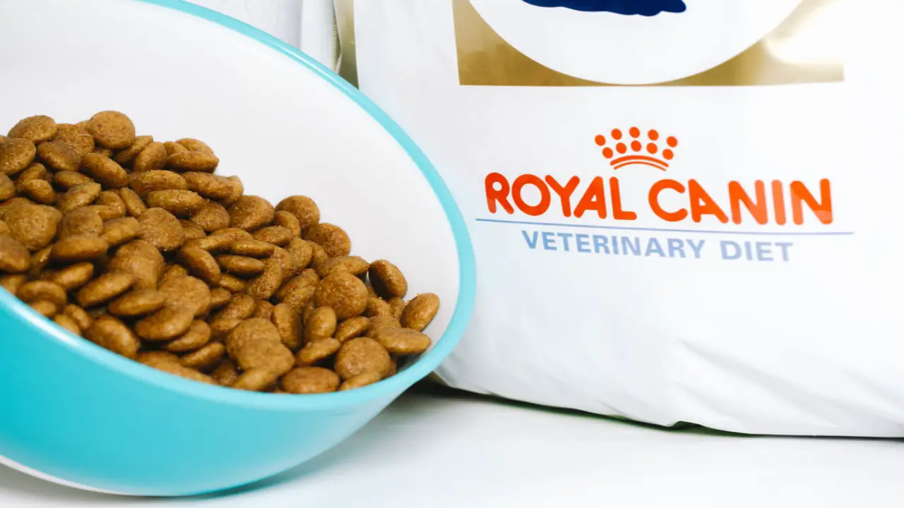 Quick View Of Royal Canin Urinary So Dog Food Alternatives