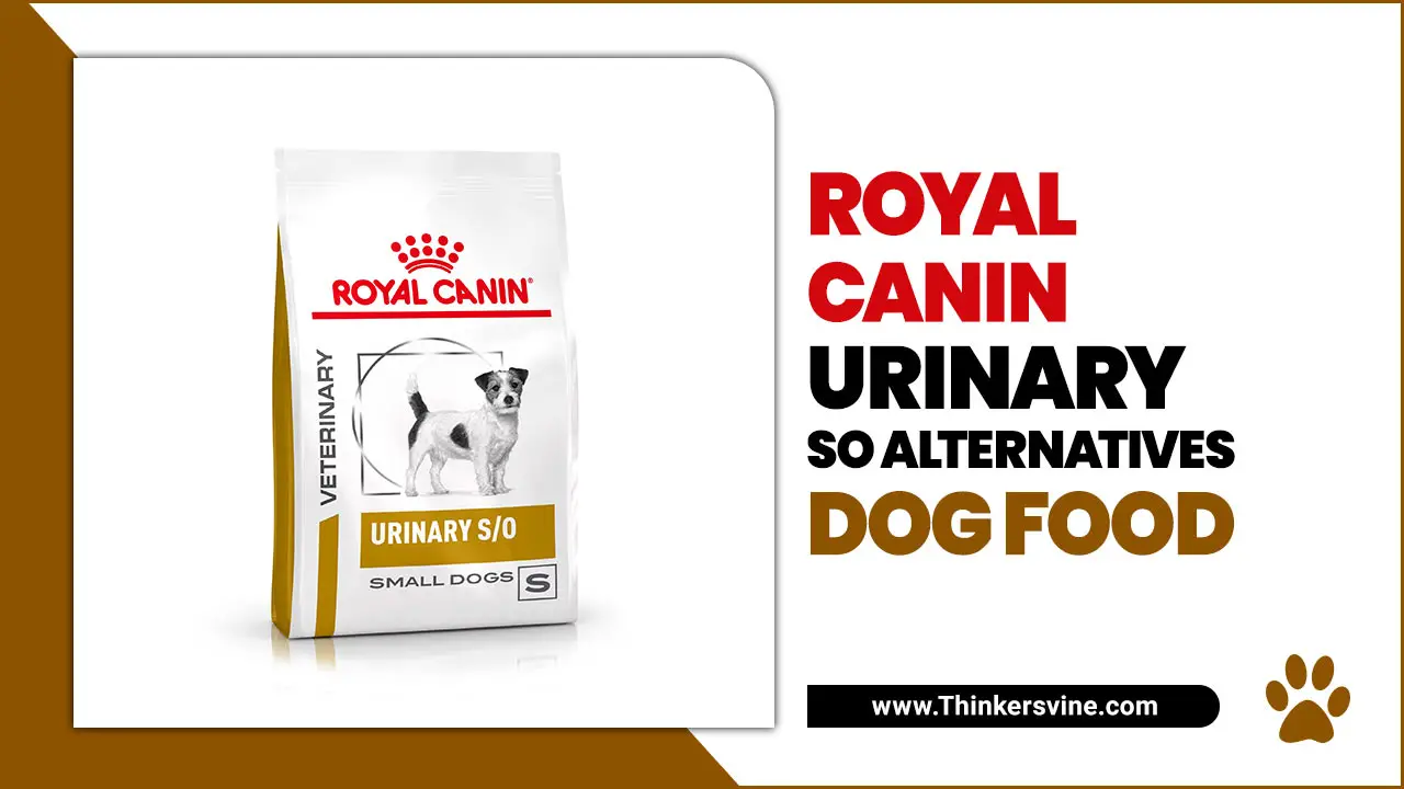 Royal Canin Urinary So Alternatives Dog Food