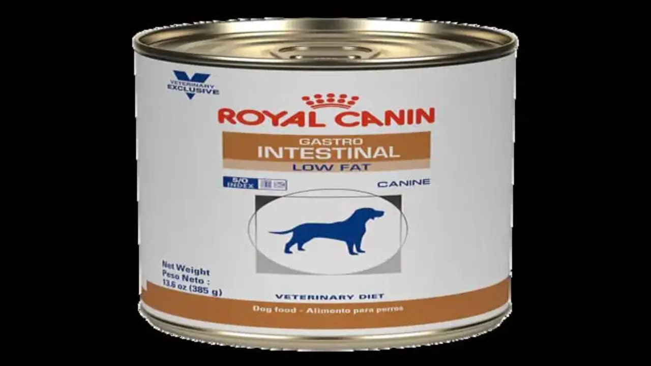 Royal Canin Veterinary Diet Adult Gastrointestinal Low-Fat Dog Food