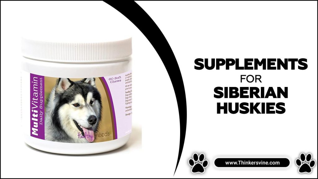 Supplements For Siberian Huskies Boost Your Husky's Health