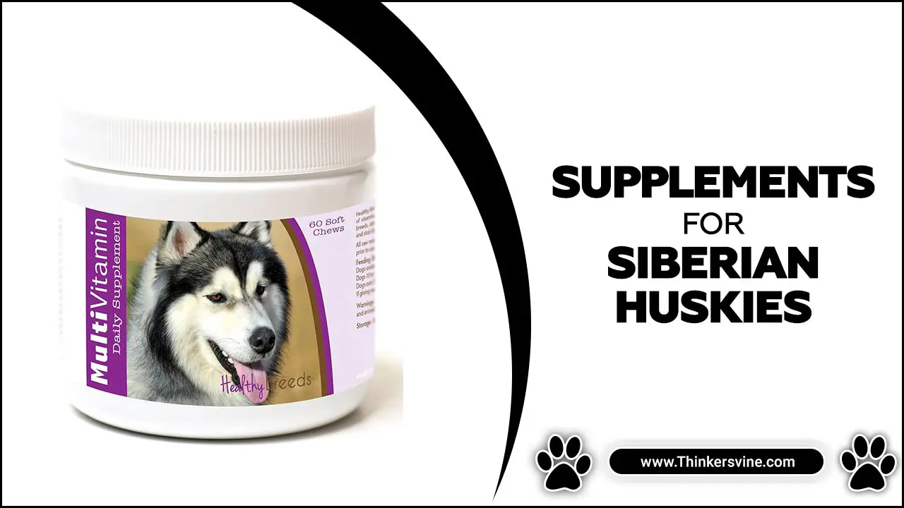Supplements For Siberian Huskies