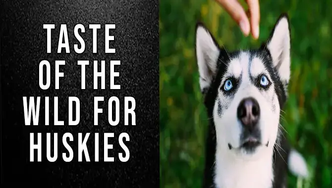 Taste Of The Wild For Huskies