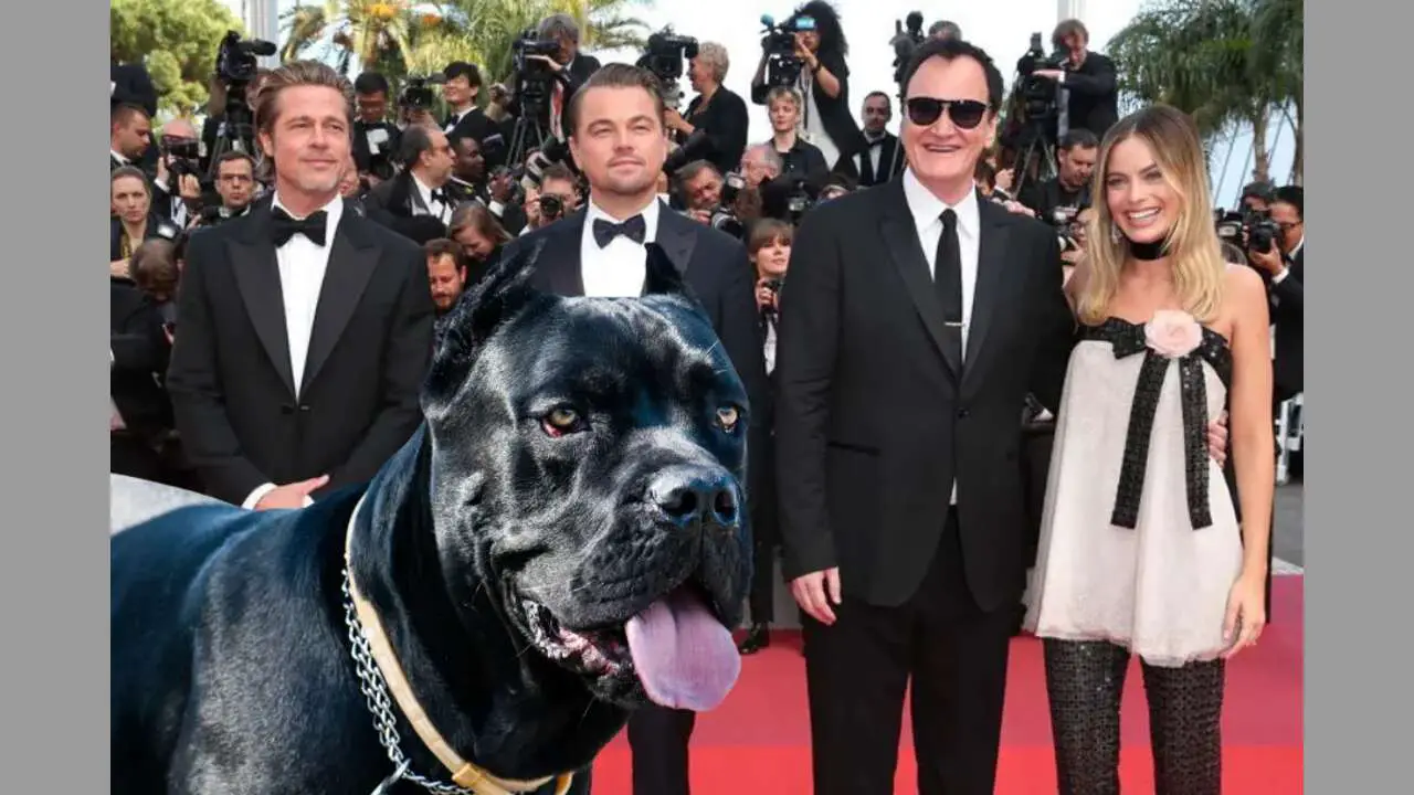 The Fact Of Celebrities With Cane Corsos