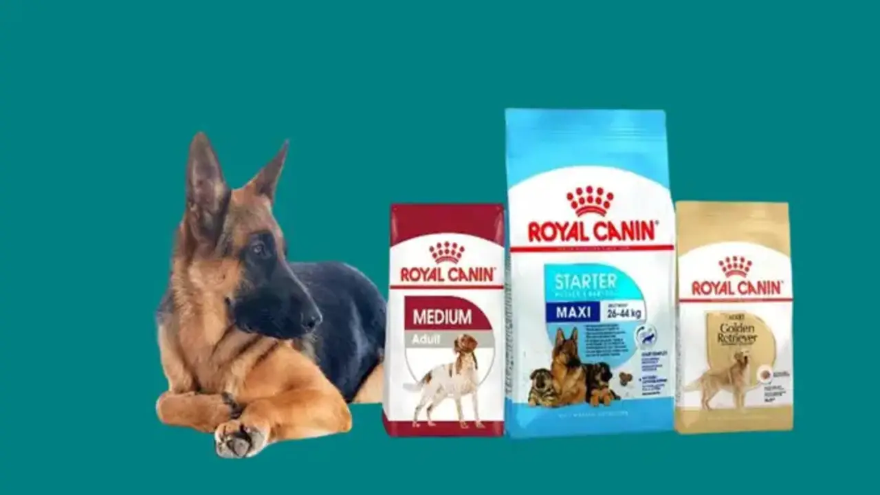 What Is Royal Canin