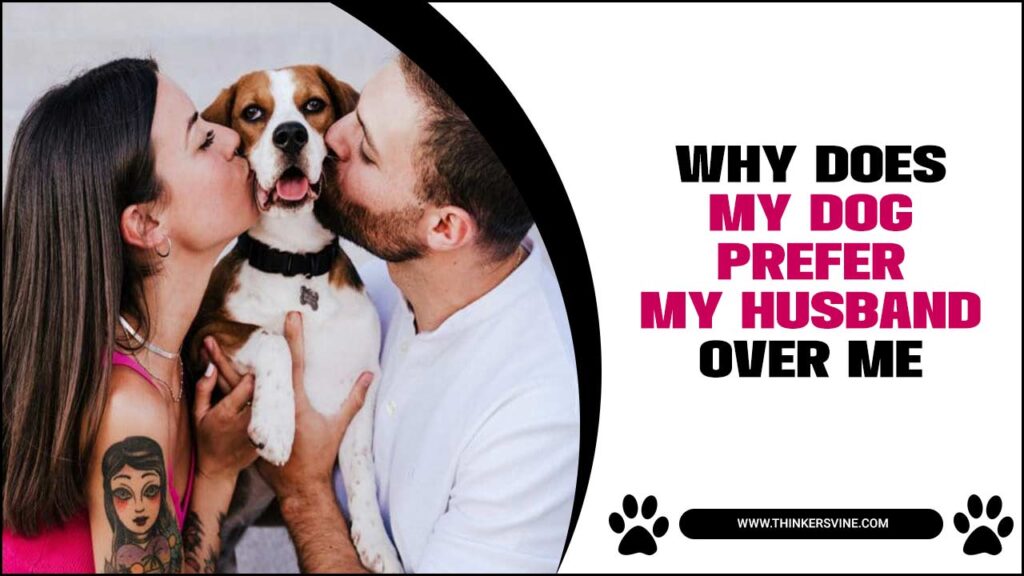 Why Does My Dog Prefer My Husband Over Me Explained