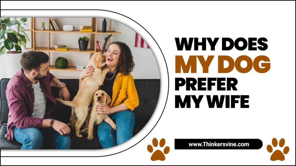 Why Does My Dog Prefer My Wife 9 Surprising Reasons