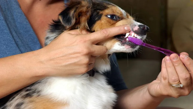 Brushing Technique For Tartar Removal