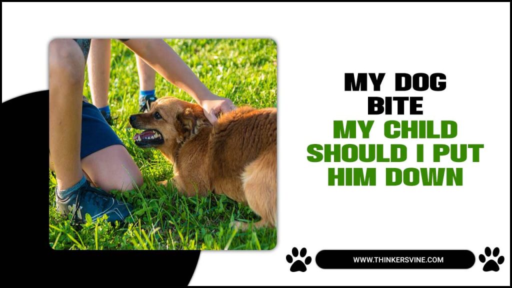 My Dog Bite My Child Should I Put Him Down Expert Guidance