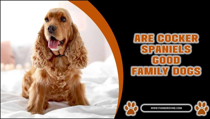 Are Cocker Spaniels Good Family Dogs